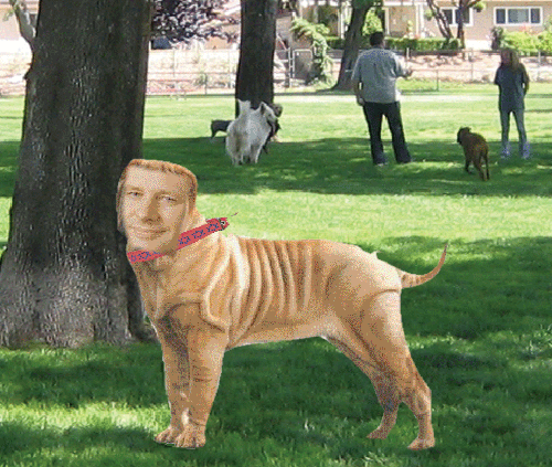 Stephen Harper��Israel's bitch