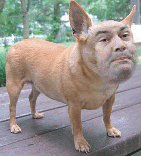 Jason Kenney�-barking mad